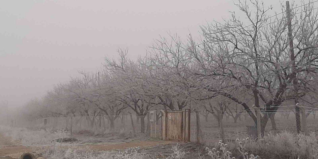 Adıyaman’da kırağı her yeri beyaza bürüdü