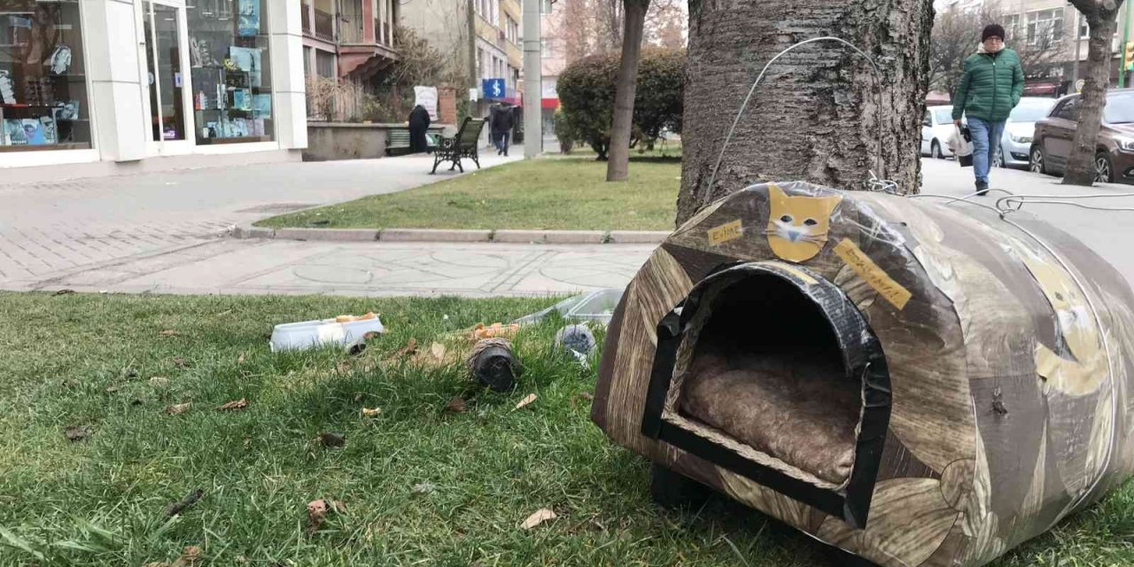 Çalınmasın diye hayvan kulübesini çelik telle ağaca bağlandılar