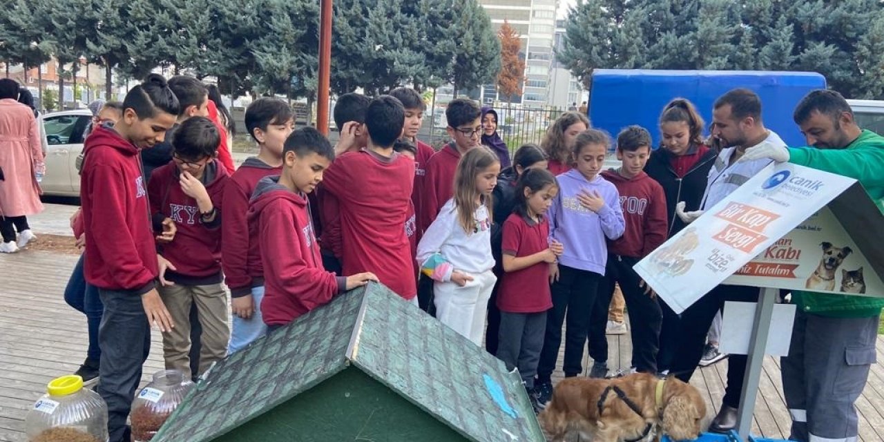 Başkan Sandıkçı: “Sokaktaki can dostlarımız bize emanet”