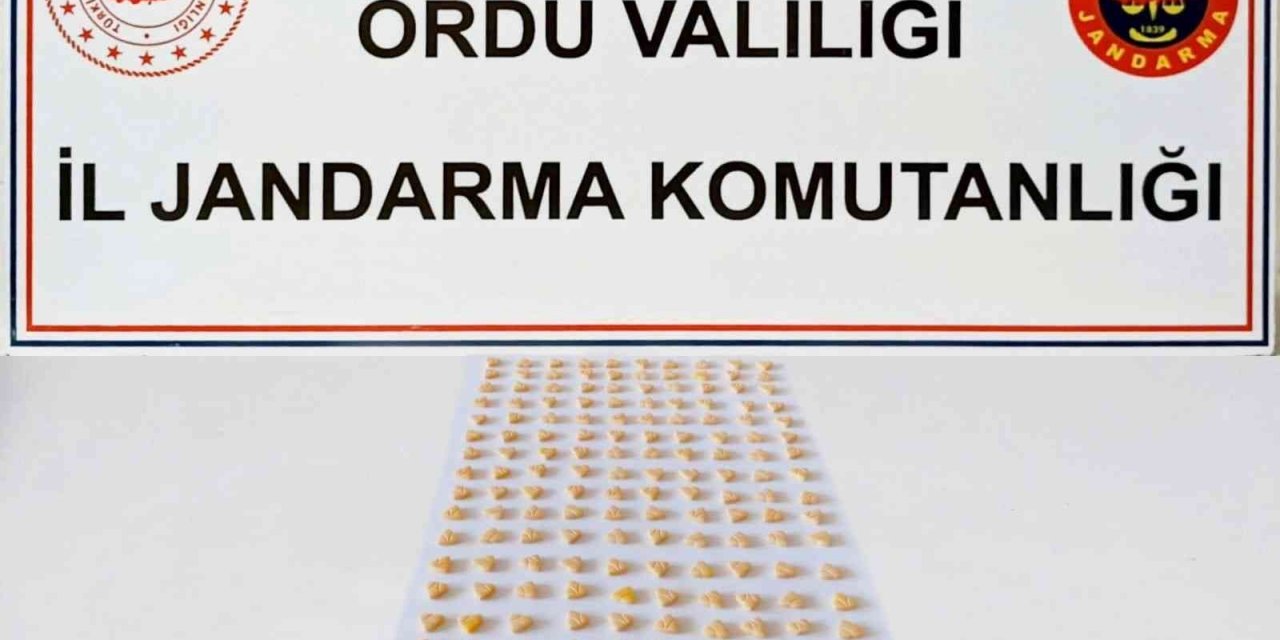 Jandarmadan uyuşturucu operasyonu: 1 kişi tutuklandı