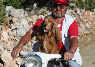 Beethoven'ın keyfine diyecek yok