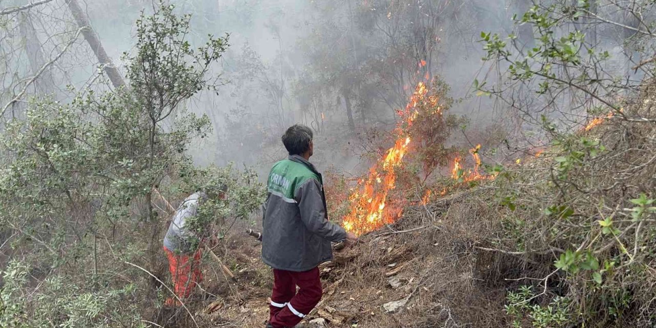 Alanya’da orman yangınında yaklaşık 10 dönüm zarar gördü