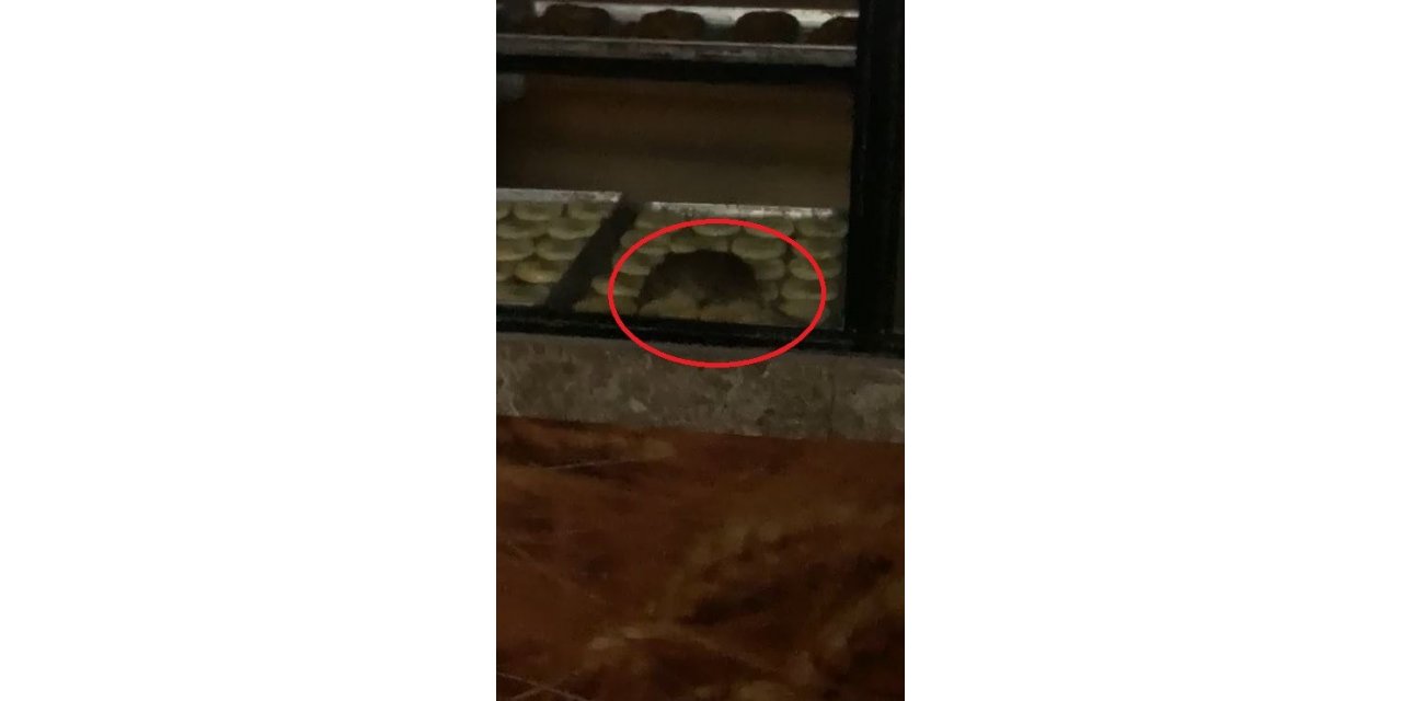 Vitrininde fare gezen fırına cezai işlem uygulandı