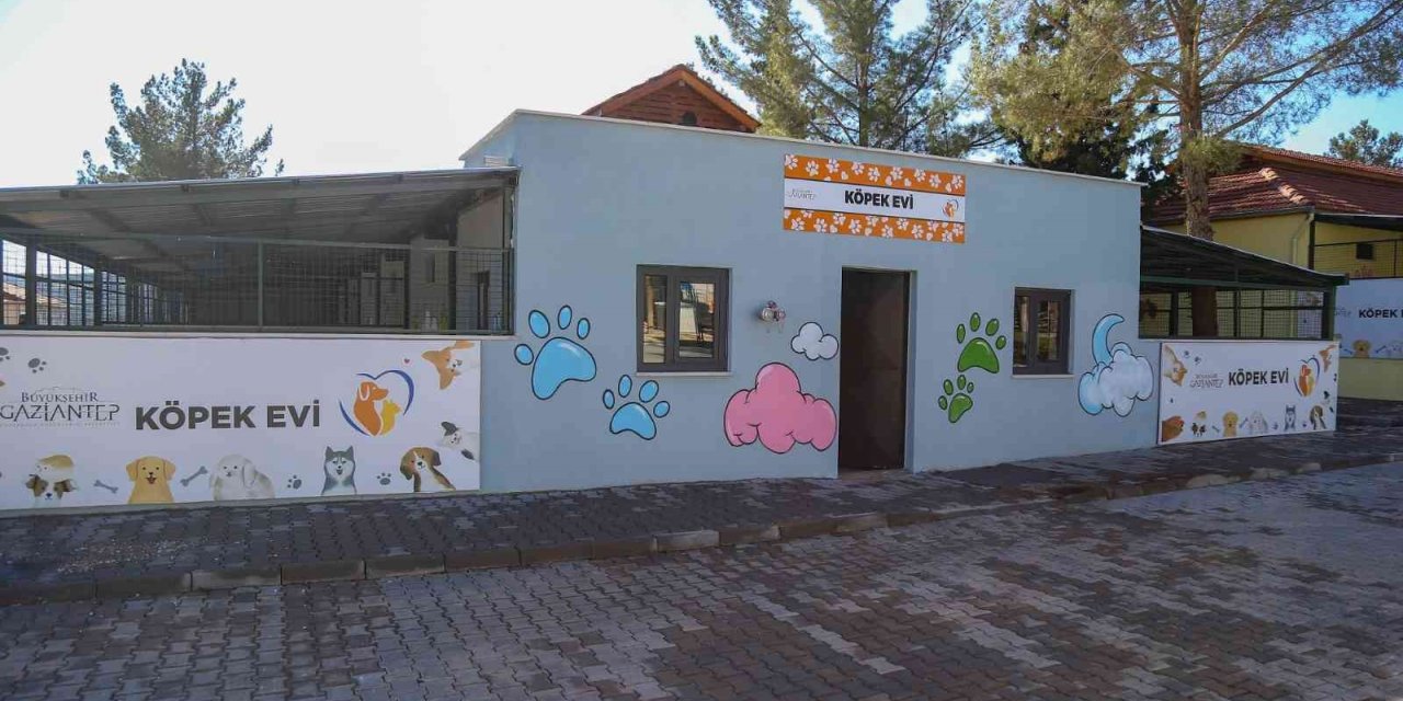 Türkiye’nin en büyük hayvan rehabilitasyon merkezi Gaziantep’e kuruldu