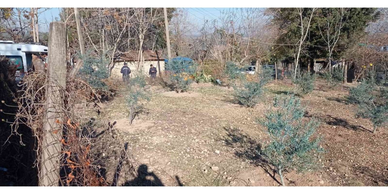 Ağaçta kalp krizi geçiren adam hayatını kaybetti