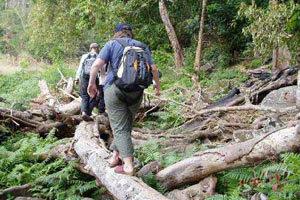 Strese karşı birebir çözüm