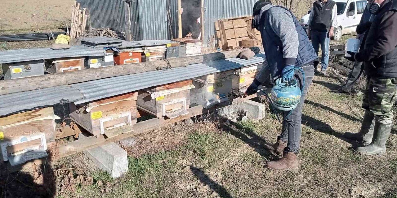 Seben’de arı kenesine karşı ilaçlama yapıldı