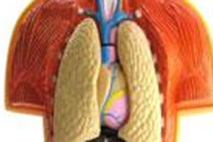 Eczanelerde yapay organ dönemi başlıyor