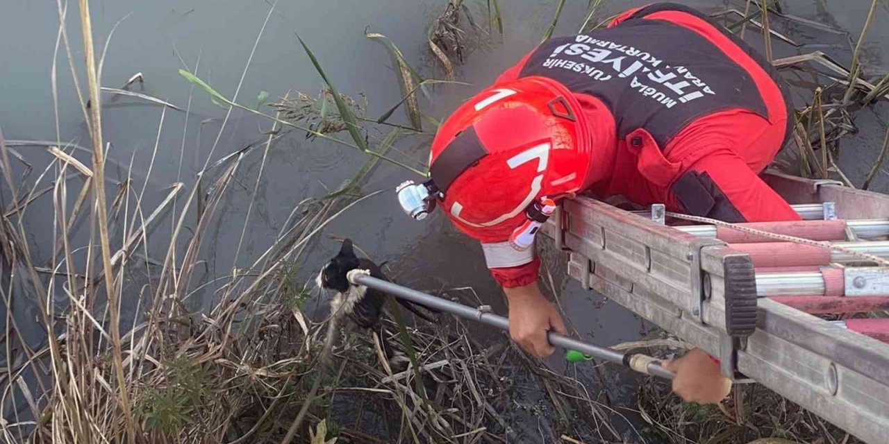 Muğla Büyükşehir İtfaiyesi 2022’de 4 bin 476 olaya müdahale etti