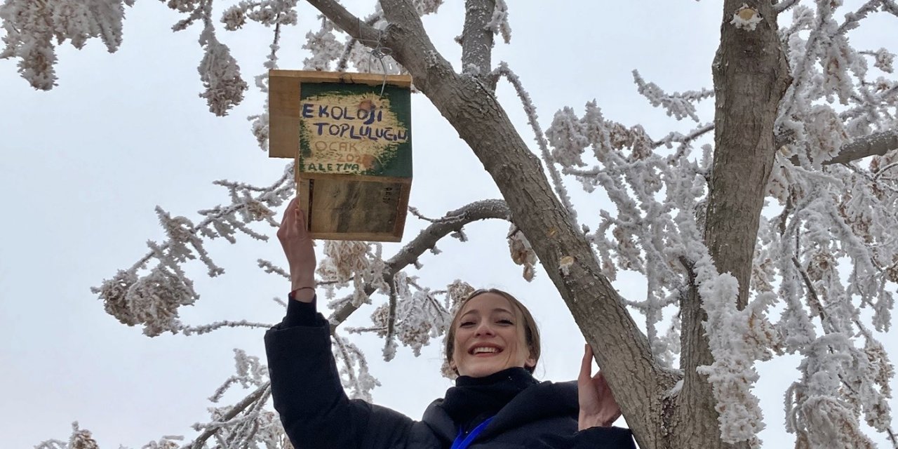 Üniversite öğrencileri kampüsü kuş evleriyle donattı