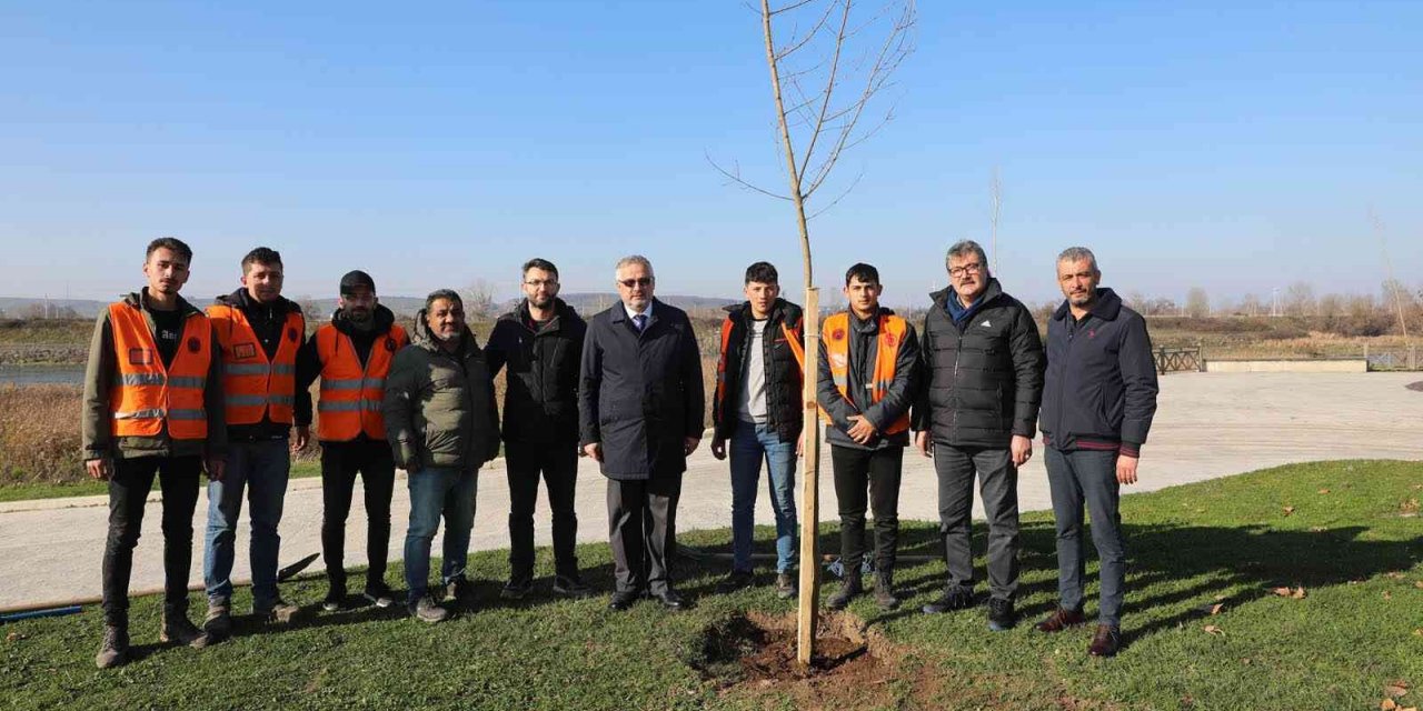 Bafra’da kökler toprakla buluşuyor