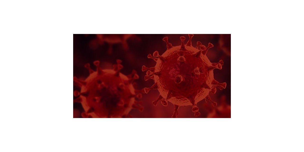 3 sene önceki antikorlarımız mutasyonlu virüsleri tanımıyor