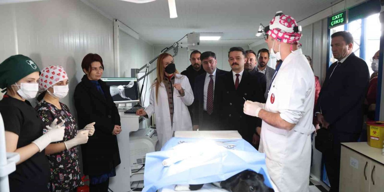 DEÜ’de beyaz önlük heyecanı