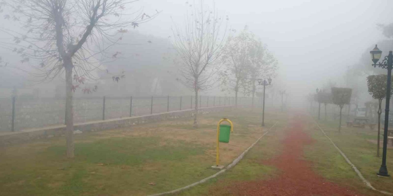 Aydın’da sis bekleniyor