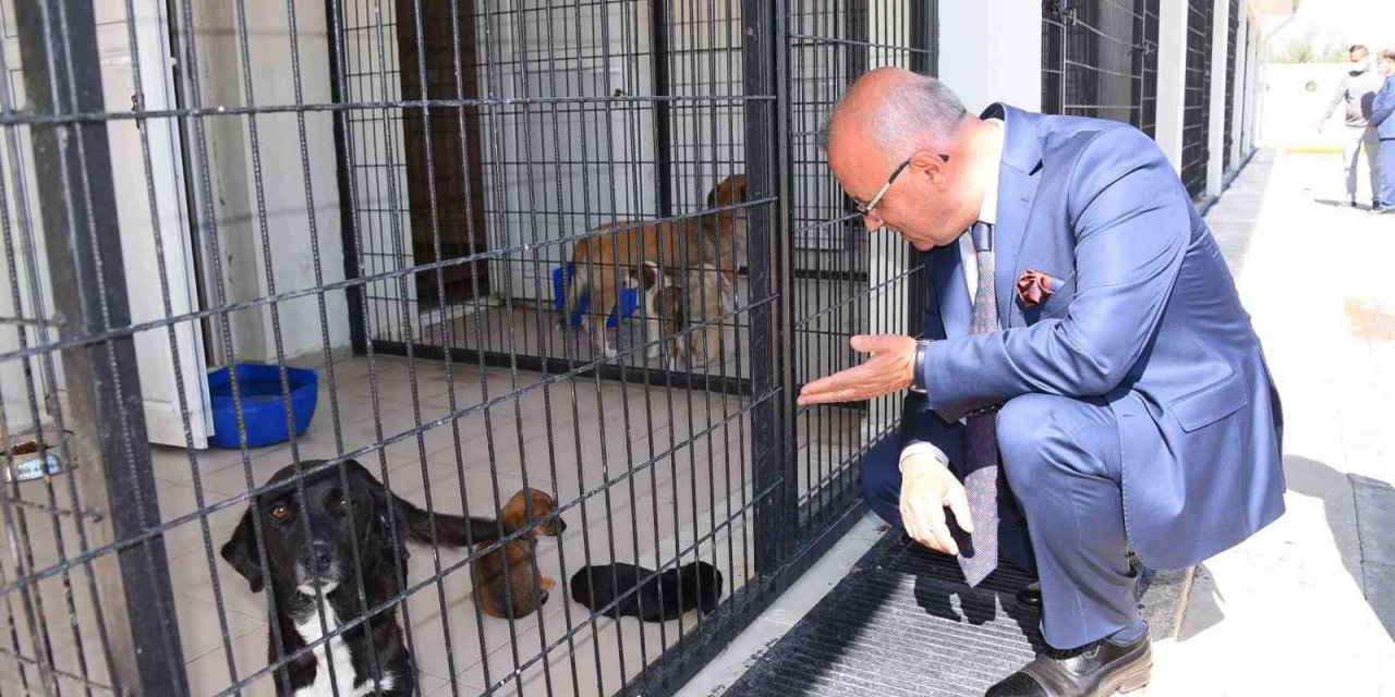 Salihli’deki rehabilitasyon merkezi “Can dostlara” şifa dağıtıyor