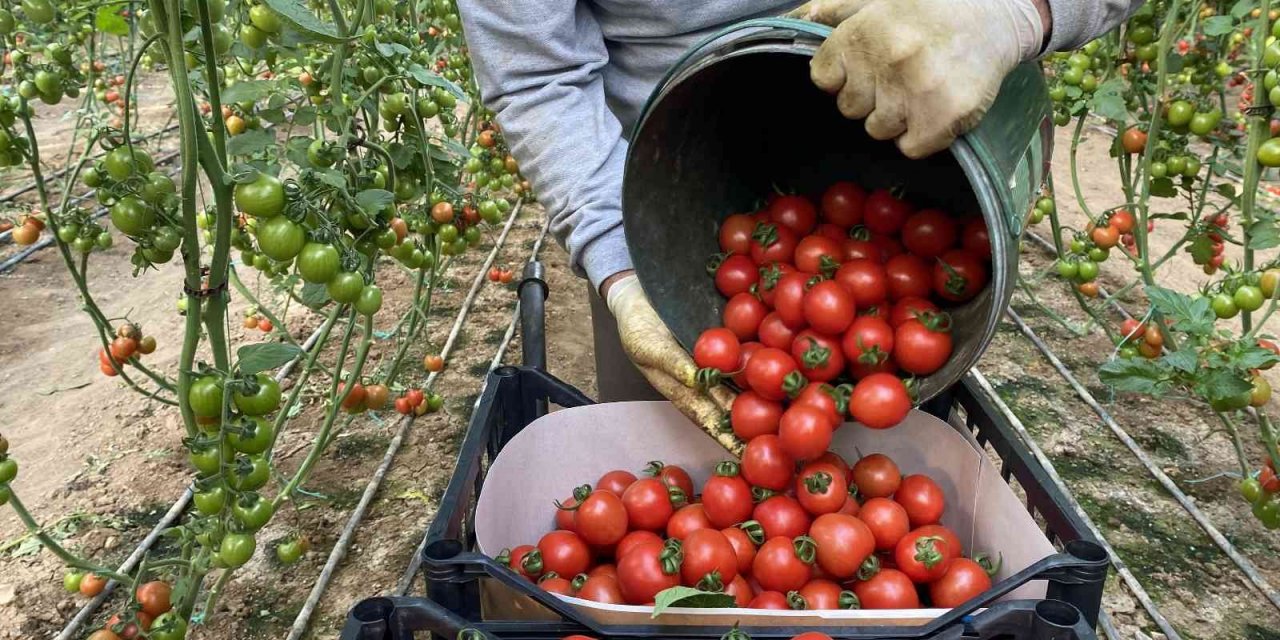 UYMSİB’nin 2023 ihracat hedefi 175 milyon dolar