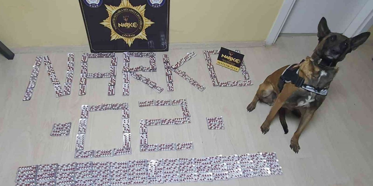 Narkotik ekipleri uyuşturucuya geçit vermiyor