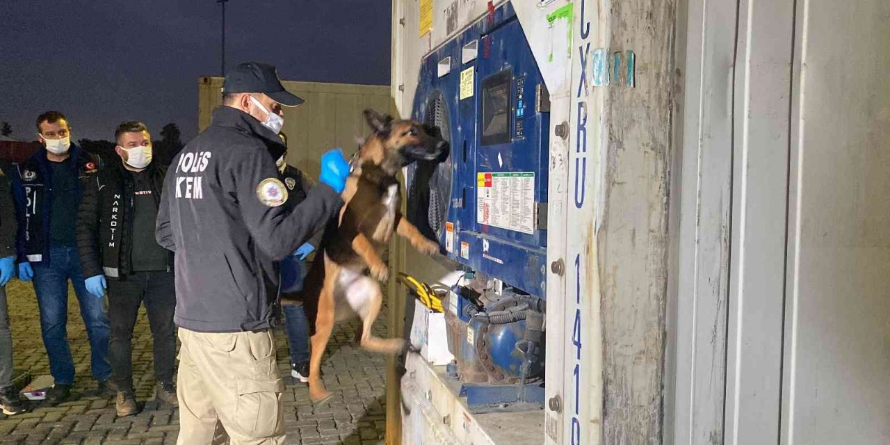 Mersin Limanı’nda 45 kilo kokain ele geçirildi
