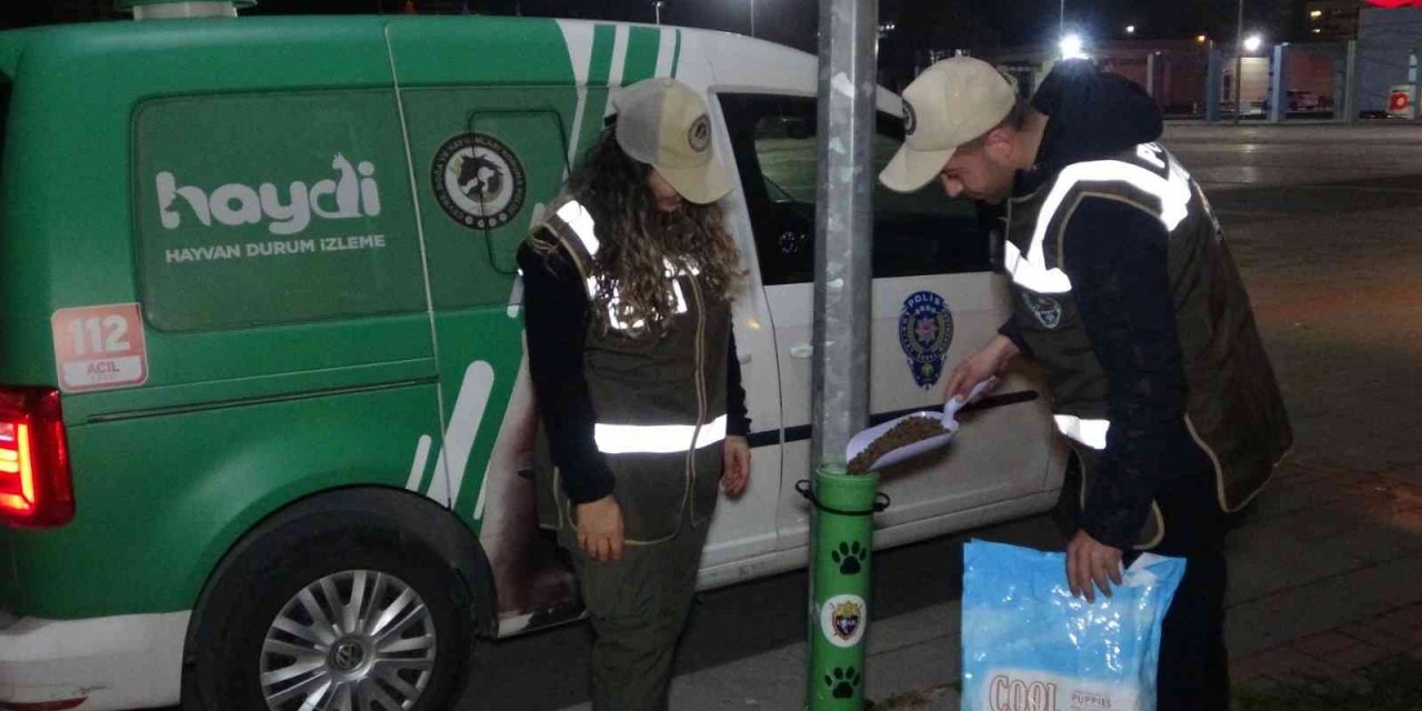 Uşak polisi yeni yılda da sokak hayvanlarını unutmadı