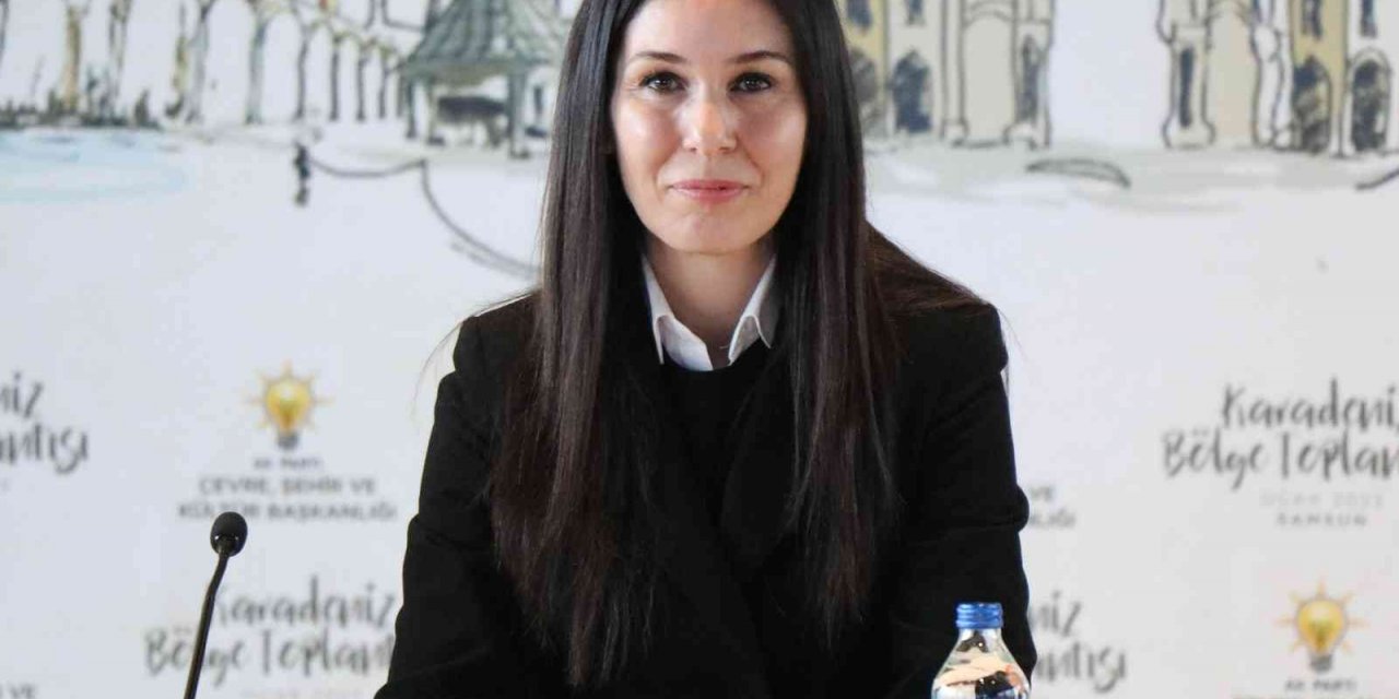 AK Parti’li Karaaslan: “Enerjide merkez ülke konumuna yükseliyoruz”