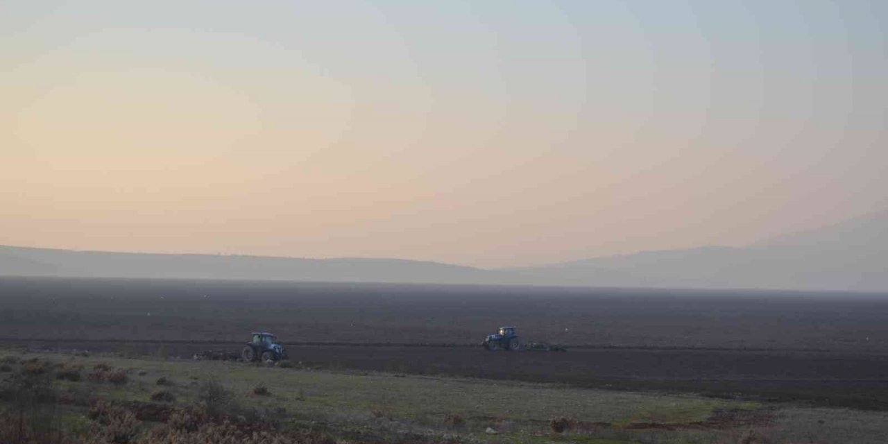 TİGEM, Marmara Gölü’nde buğday ve ayçiçeği yetiştirecek