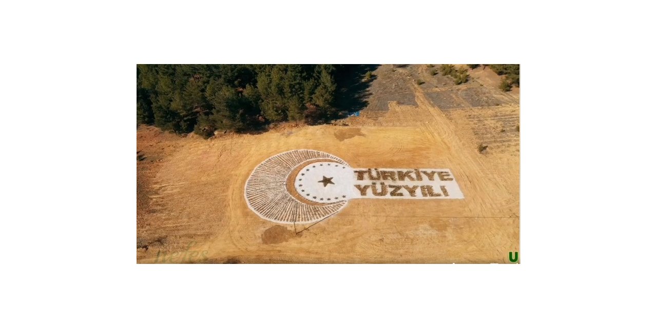 Türkiye Yüzyılı logosu 30 bin 600 fidanla yazıldı