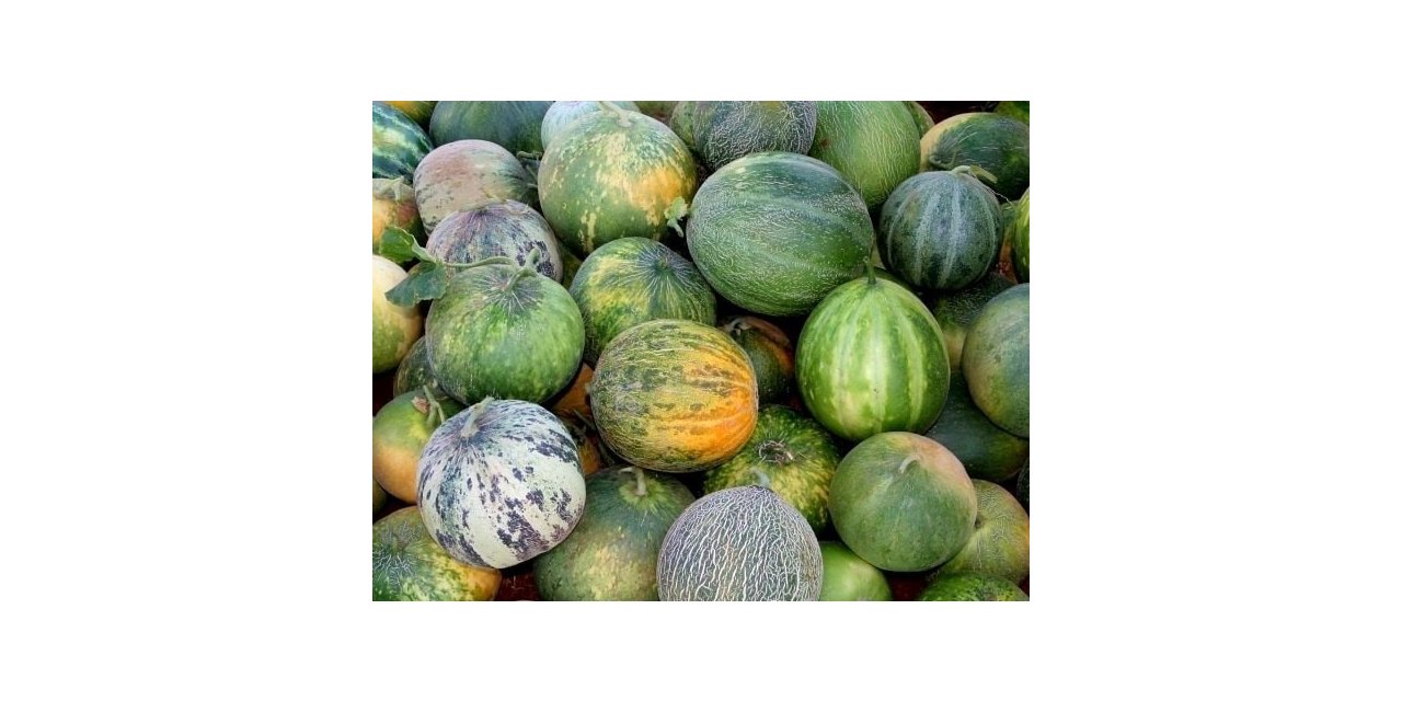 Karahallı Düğleği tescil aldı