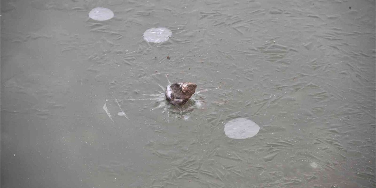 Meteorolojiden buzlanma ve don uyarısı