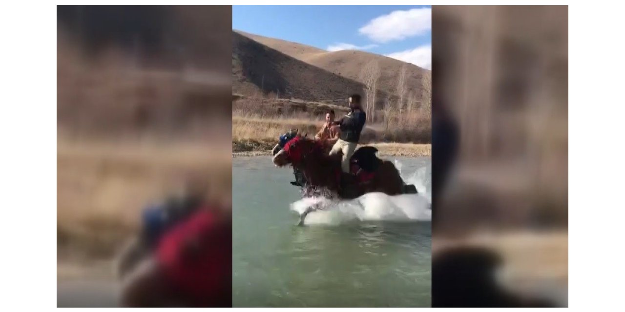 Ayağına su yılanı değen cirit atı yıllarca sırtında taşıdığı sahibini Çoruh’un serin sularına attı