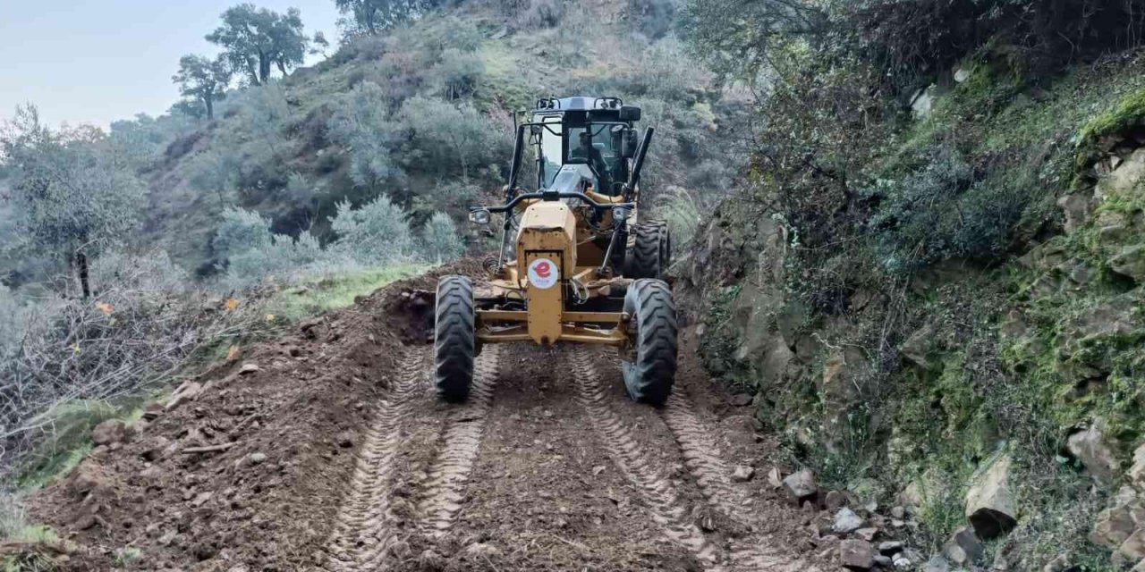 Efeler Belediyesi zeytin üreticilerine rahat bir nefes aldırdı