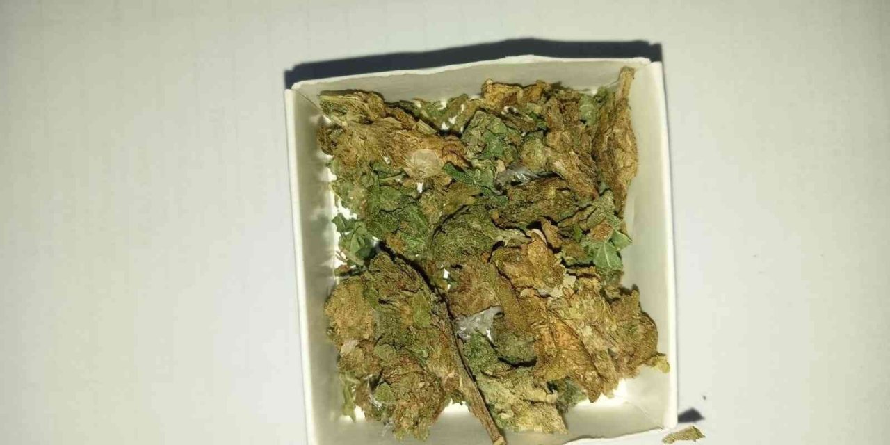 Otobüste seyahat ederken uyuşturucu ile yakalandılar