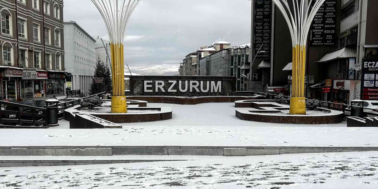 Erzurum güne karla uyandı