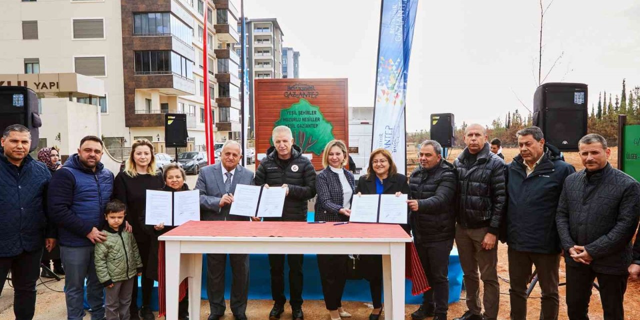YeşilAntep projesi ile Şehirgösteren Mahallesi yeşile büründü