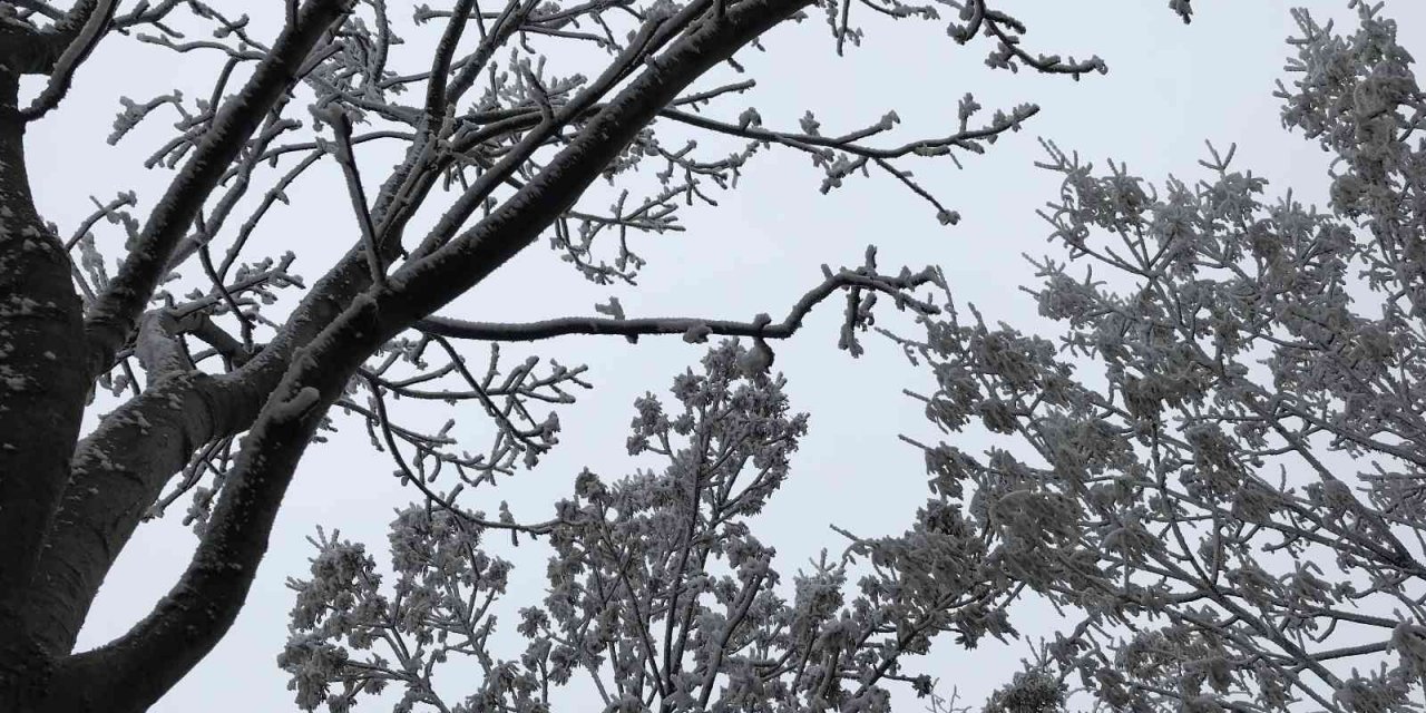 Eskişehir’de etkili olan kırağı eşsiz manzaralar sundu