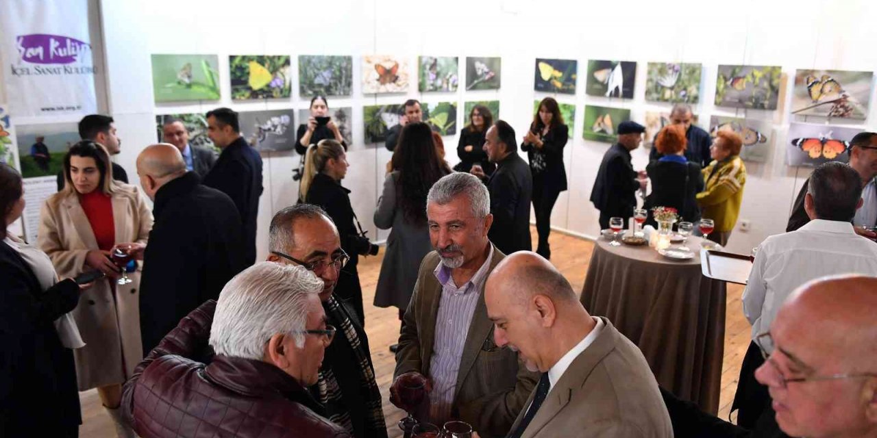 Bülent Akbaş’ın ’Mersin Kelebekleri’ fotoğraf sergisi açıldı