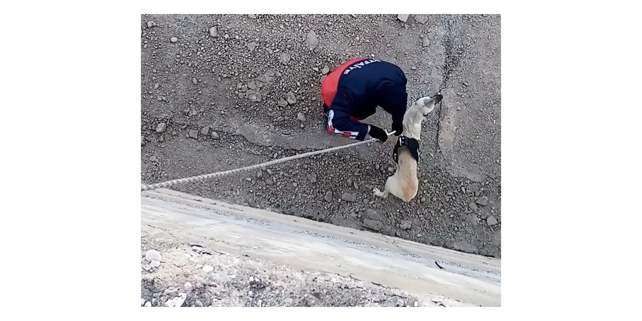 Kanala düşen köpeği itfaiye kurtardı