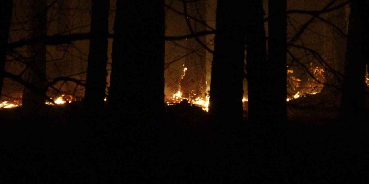 Kaz Dağları’nda ormanlık alanda örtü yangını çıktı