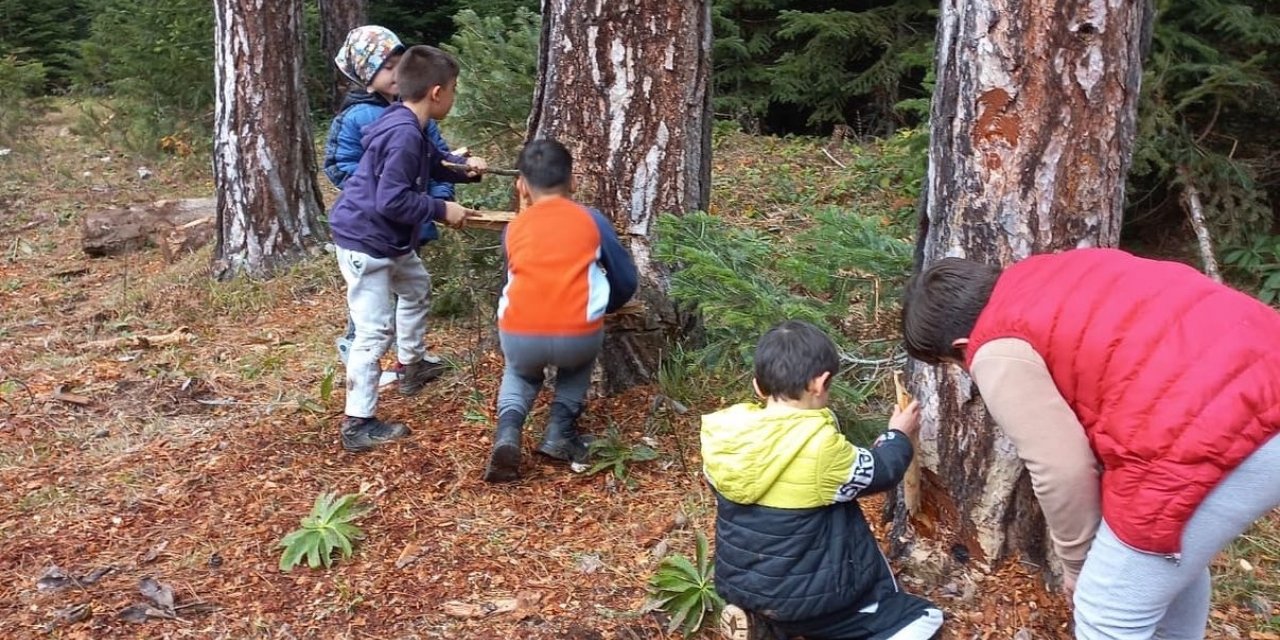 Orman içerisinde ders işliyorlar