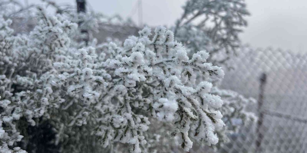 Mardin’de kırağı kartpostallık görüntüler oluşturdu