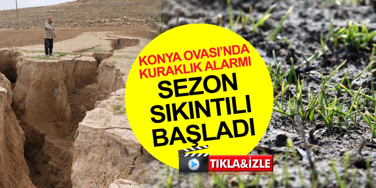 Konya Ovası'nda kuraklık! Hububat rekoltesi tehlikede