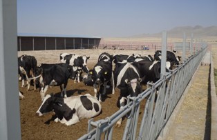 Emirgazi'de çiftlik sayısı artıyor