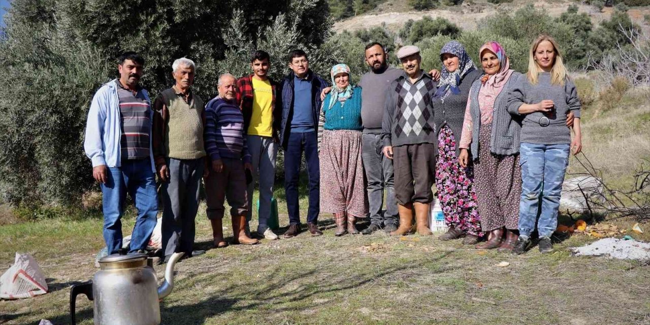 Başkan Özcan zeytin hasadına katıldı, üreticilerle bir araya geldi