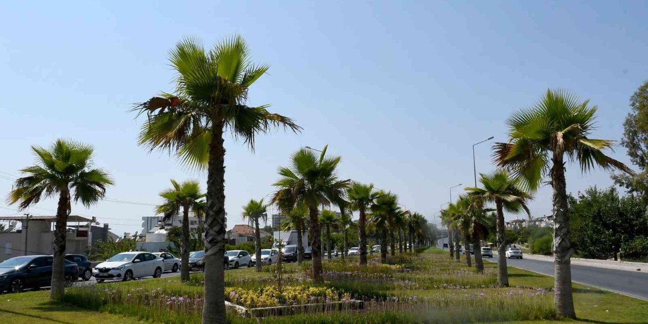 Kuşadası Belediyesi bir yılda yeşile 18 milyon 415 bin TL’lik yatırım yaptı