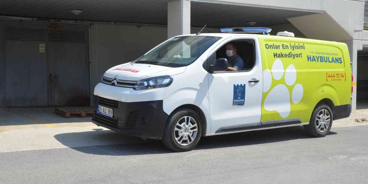 Kuşadası’nda 2022 yılında 4 bin 308 hayvana ev sahipliği yapıldı
