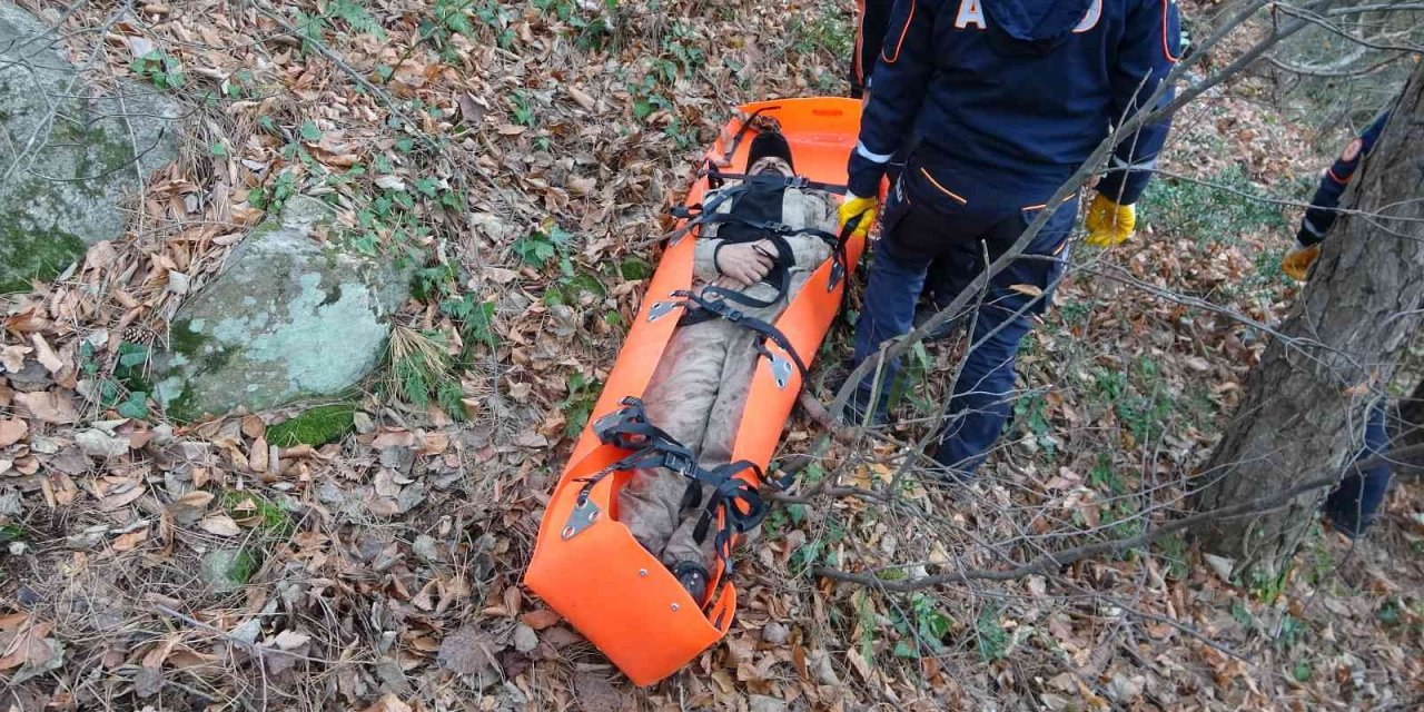 Uludağ’ın ormanlarında 12 saatlik can pazarı