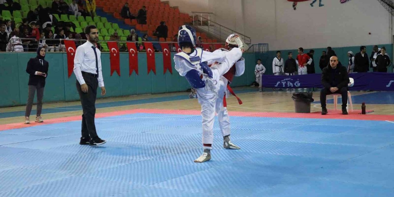 Taekwondo il şampiyonası Elazığ’da başladı