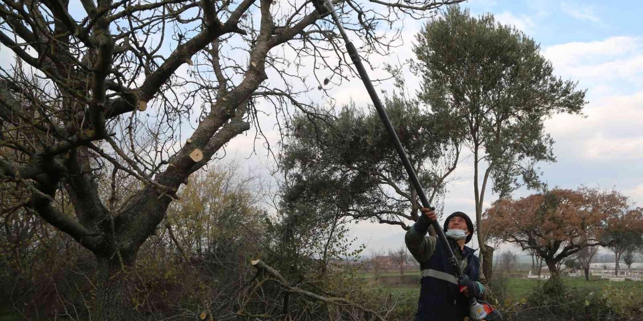 Efeler’in mezarlıklarında budama mesaisi başladı