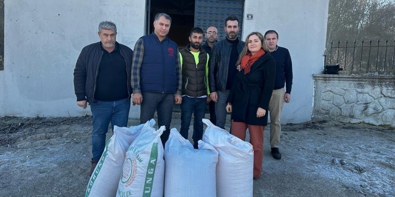 Samsun’da ‘çok yıllık yem bitkileri örnek ekim tarlaları’ kurulacak