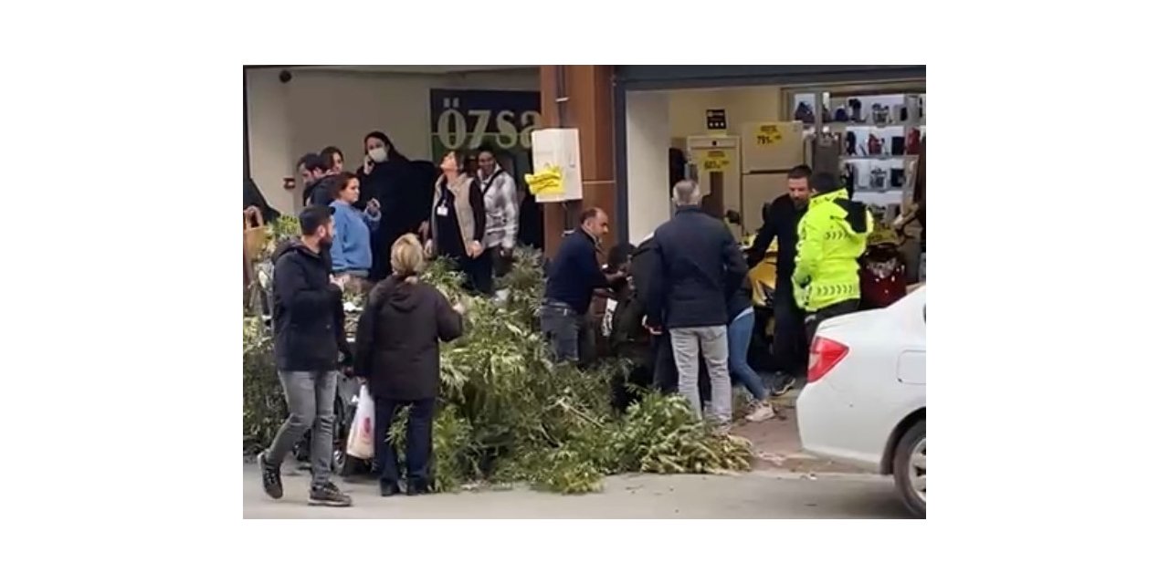 Kaldırımda yürüyen kadının başına ağaç dalı düştü