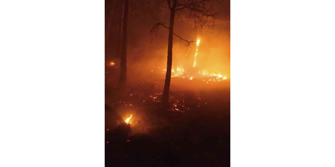 Sarp arazide devam eden yangın kısmen kontrol altına alındı